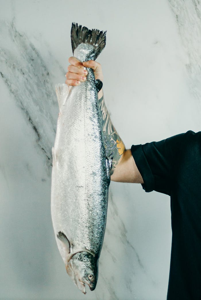 services-04 A tattooed hand holds a large raw salmon, perfect for culinary themes.